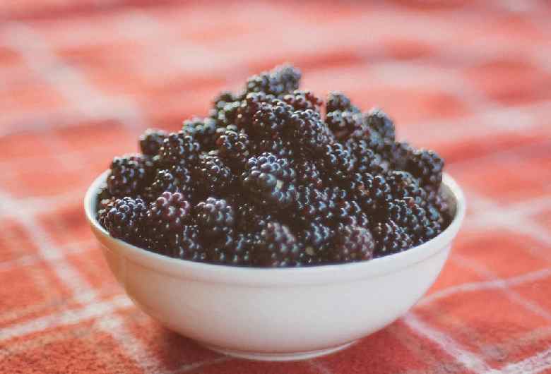Benefits of Blackberries