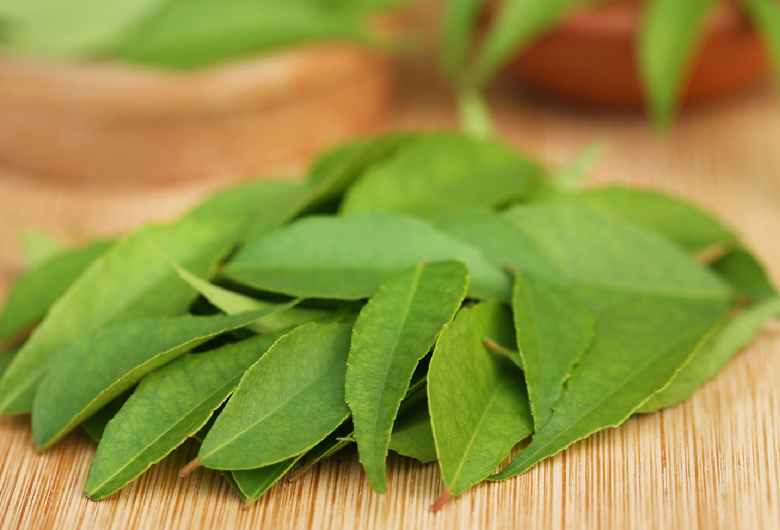 Hair Care With Curry Leaves
