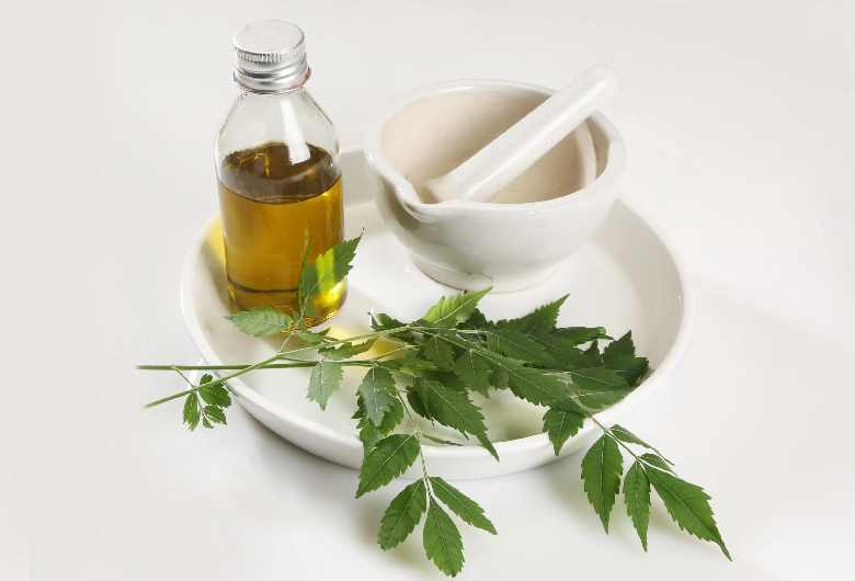 Benefits of Neem Oil for Skin and Hair