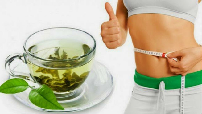 role of green tea in weight loss