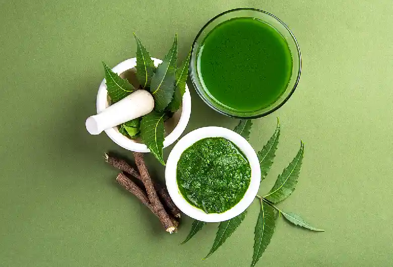 Neem Leaves For Skin & Hair - Amazing Benefits and Uses